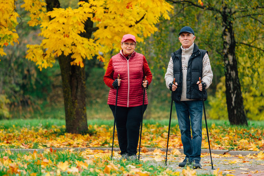 Pretty senior couple standing with nordic walking poles in colorful autumn park. Mature woman and old man resting outdoors.