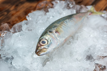 Fresh raw fish on ice on a wooden table.