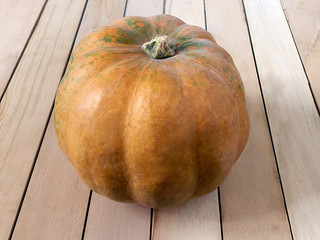 pumpkin