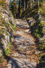 Alter Weg - Römerweg