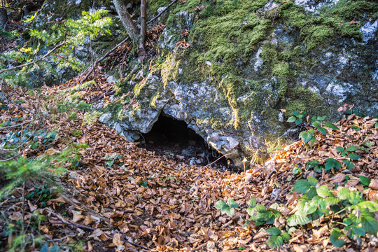 Fuchsbau unter einem Felsen