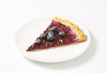 Slice of blueberry tart
