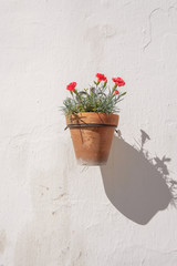 Fototapeta na wymiar Wall mounted flower pot.
