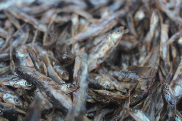 Dried Anchovies also known as Keta School boys in Ghana