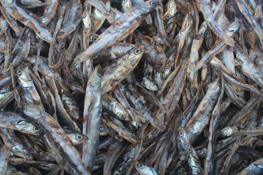 Dried Anchovies Also Known As Keta School Boys In Ghana