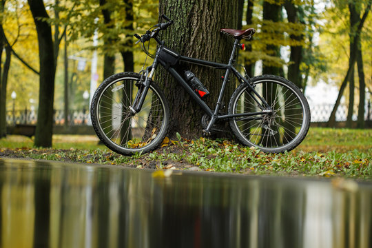 Bicycle in colorful autumn park. Fall season background