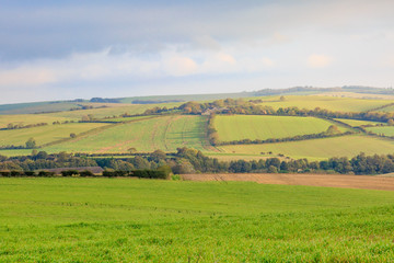 Sussex Landscape