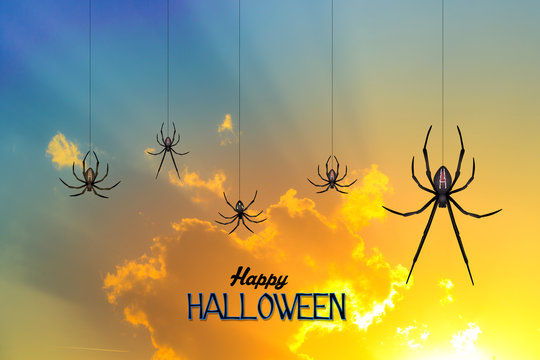illustration of Halloween spiders