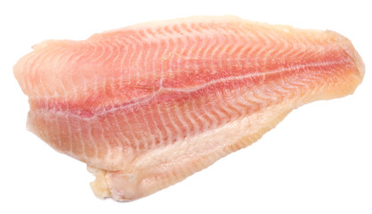 raw fish fillet
