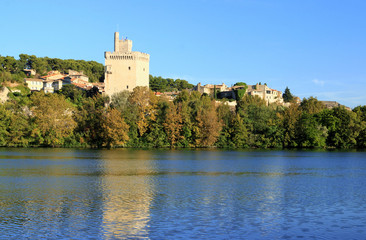 Fototapeta na wymiar La tour Philippe-le-Bel sur le Rhône