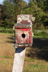 Front view of an old birdhouse with peeling paint and moss
