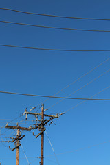 Horizontal power lines and vertical power poles background
