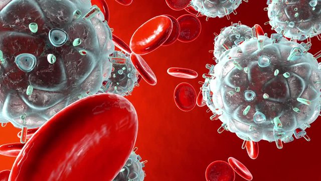 Animation of the Aids causing HIV Virus flowing in the bloodstream with Erythrocytes.
