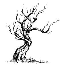 Fototapeta premium Ręcznie rysowane ilustracja starego krzywego drzewa.