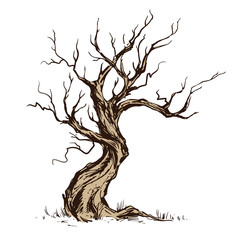 Handsketched illustration of old crooked tree.