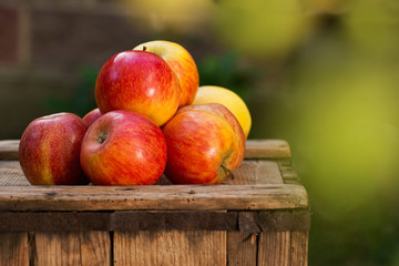 Red Apples on the Old Wooden Crate.