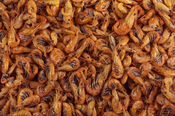 Shrimps background texture. Sea shrimp or pattern of krill.