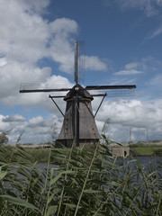 wildmill in holand