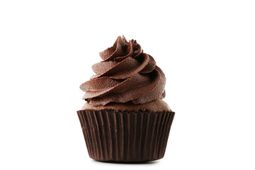 Chocolate cupcake isolated on white background