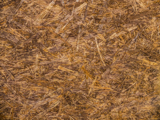 OSB texture