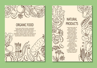 Vector illustration of a flyer with vegetables