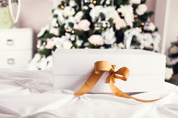 Beautiful gift box