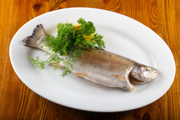 Steamed trout