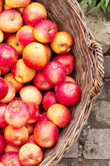 Basket with apples, apples, pattern, garden, autumn, crop, vertical, soft selective focus