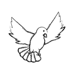 peace dove icon over white background vector illustration