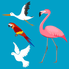 Birds, a set of birds. Stork, pigeon, flamingo, parrot