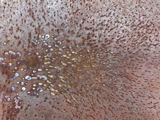 Close-up of abstract surface of rust on steel plate for grunge background