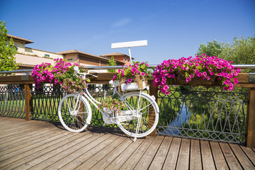 Fototapeta na wymiar White Bike on wooden bridge with flowers