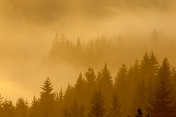 Mountain landscape in fog