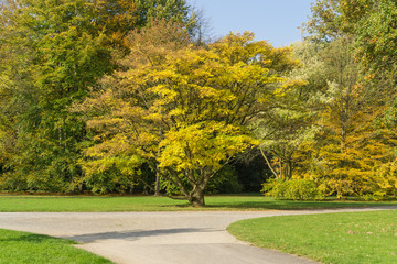 Autumnal impressions in a park, the Karlsaue in Kassel, Germany