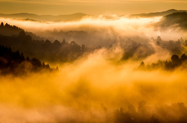 Mountain landscape in fog - obrazy, fototapety, plakaty