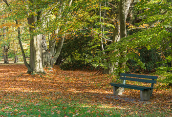 Obraz na płótnie Canvas Autumnal impressions in a park, the Karlsaue in Kassel, Germany