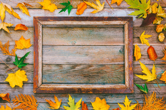 autumn composition. bright autumn leaves and picture frame on wooden background with copy space. mock up for text, congratulations, phrases, lettering