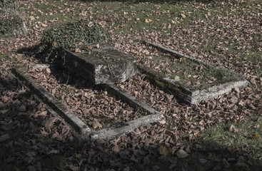 two old unkept dissolute abandoned graves with ivy and fallen leaves on cemetery faded colors