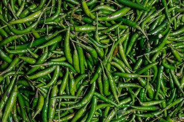 Green chili background
