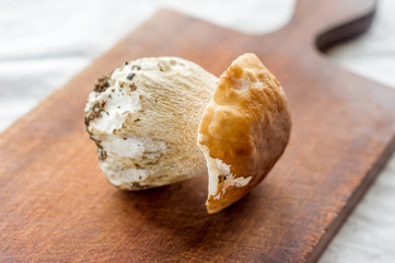 Boletus edulis edible mushroom on wooden kitchen desk