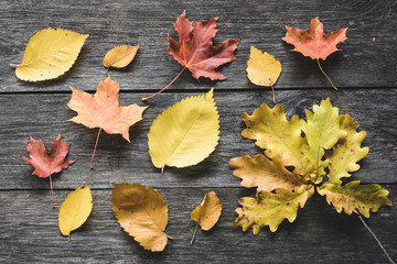 Naklejka na ściany i meble Autumn leaves on old wooden backdrop. Seasonal flat lay