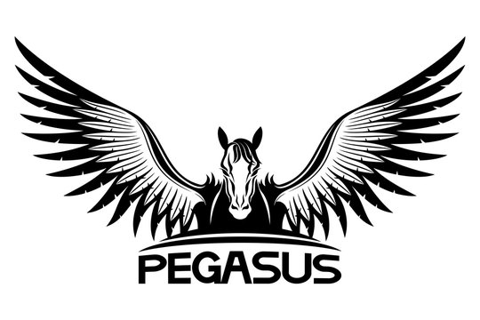 Sign of pegasus.