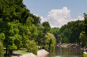 sunny day view of a river in a park