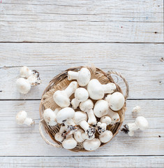 Champignon Mushrooms  on a table