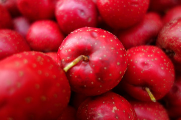 hawthorn