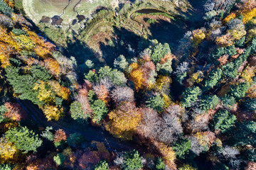 Aerial view of trees in the Vosges Mountains in autumn