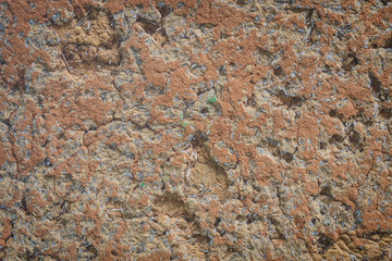 arid ground background, dry ,abstract