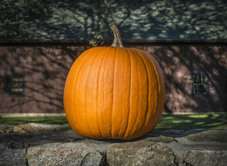 Bright Orange Pumpkin on a Stone Wall