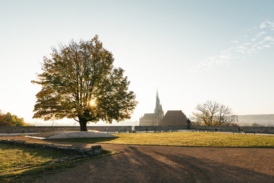 Sonnenaufgang an der Zitadelle auf dem Petersberg in Erfurt mit Blick auf den Dom