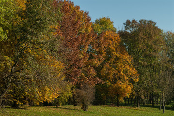 Jesienny park miejski